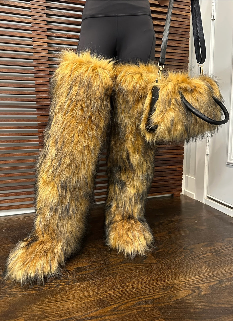 Royal Paw 🐾 Boots