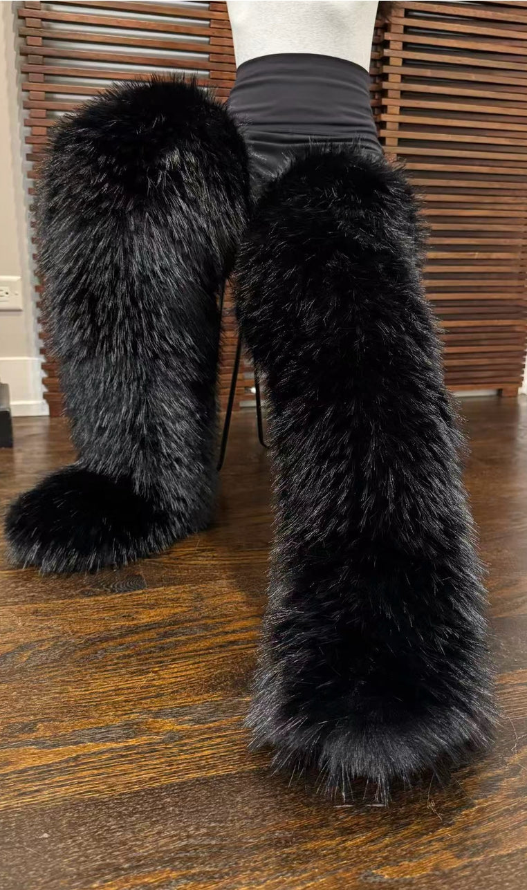 Royal Paw 🐾 Boots