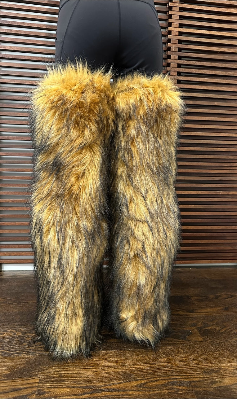 Royal Paw 🐾 Boots