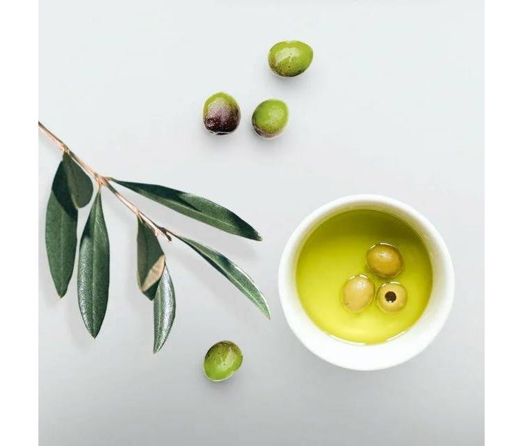 ECO STYLE Professional Olive Styling Gel - 16 fl oz