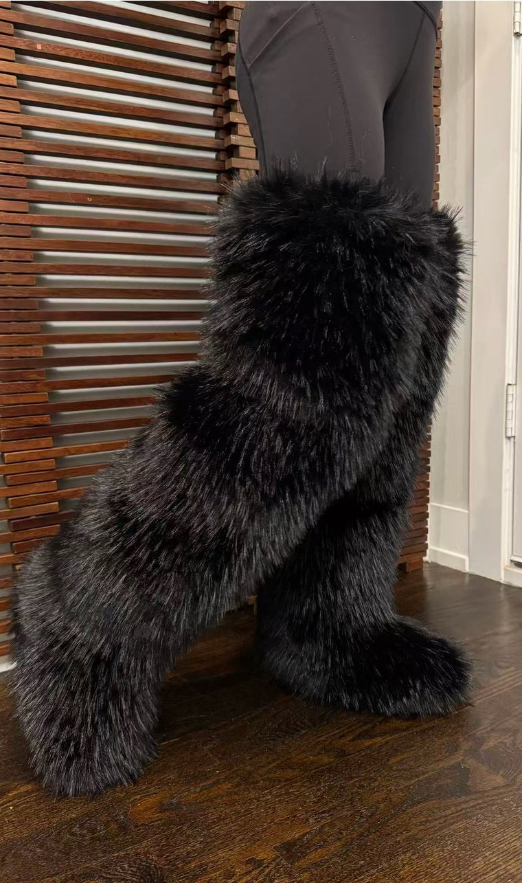 Royal Paw 🐾 Boots